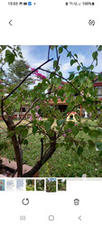 Jalan Binchang (D20), Detached #602339011